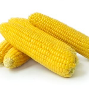 Corn on the cob