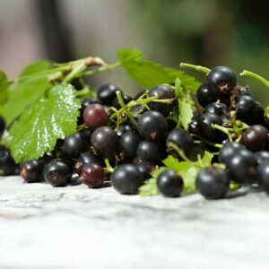 Blackcurrant